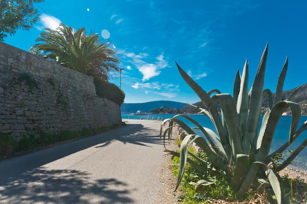 Apartments Vucinovic Tivat Eksteriør bilde