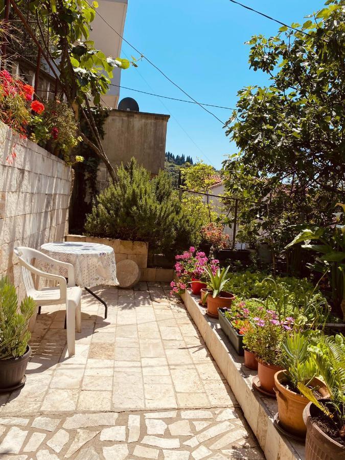 Apartments Vucinovic Tivat Eksteriør bilde