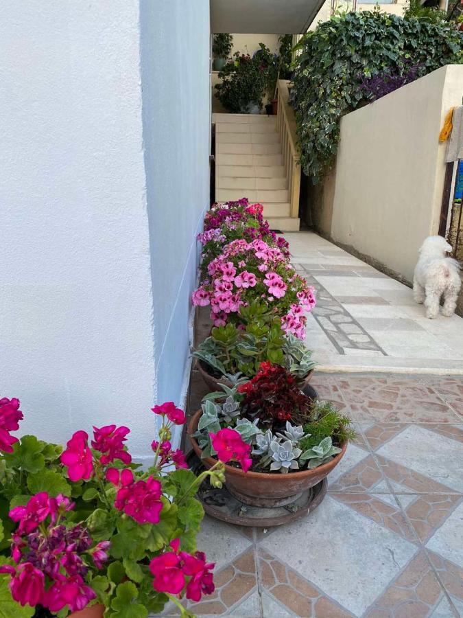 Apartments Vucinovic Tivat Eksteriør bilde
