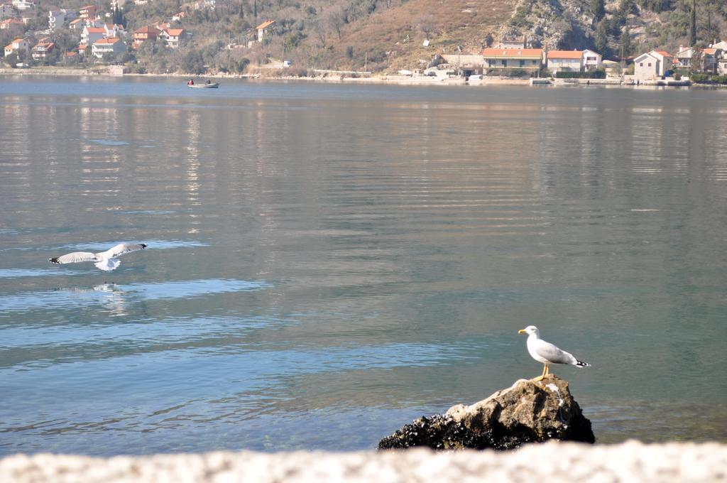 Apartments Vucinovic Tivat Eksteriør bilde
