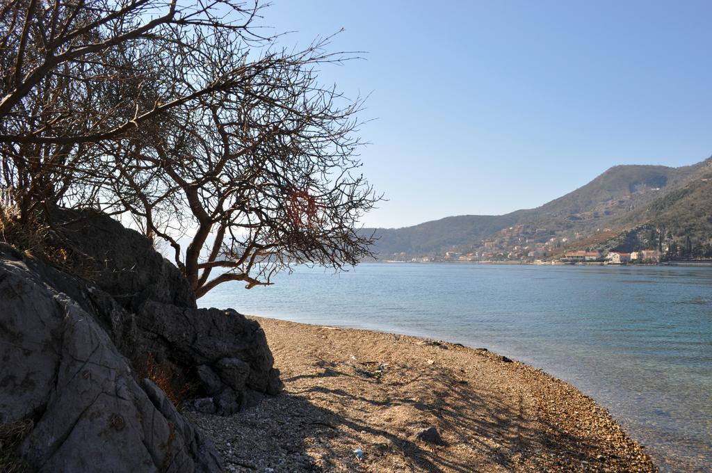 Apartments Vucinovic Tivat Eksteriør bilde